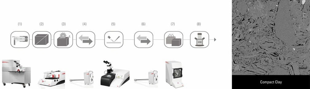 (1) High Pressure Freezing (EM ICE) | (2)–(3) Cross Sectioning & Cutting (EM VCM) | (4) Transfer (EM VCT500) | (5) Ion Beam Milling (EM TIC 3X) | (6) Transfer (EM VCT500) | (7) Coating (EM ACE600) | (8) Cryo-SEM Analysis.