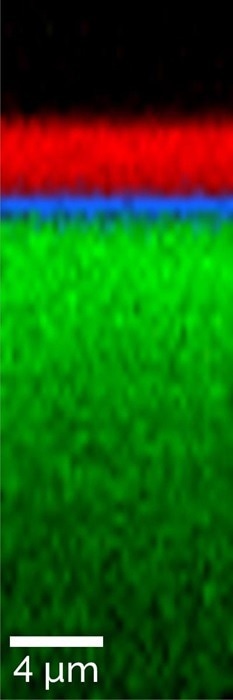 Raman depth scan of an epitaxially overgrown SiC wafer, showing a thin interface layer (blue) between the wafer substrate (green) and epitaxial layer (red).