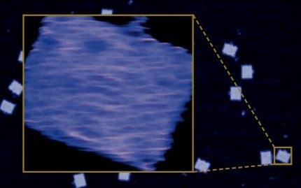 TappingMode topography images of DNA origami (GATTA-AFM, Gattaquant, Germany) in TAE buffer acquired at 1,400 lines/sec. (inset).