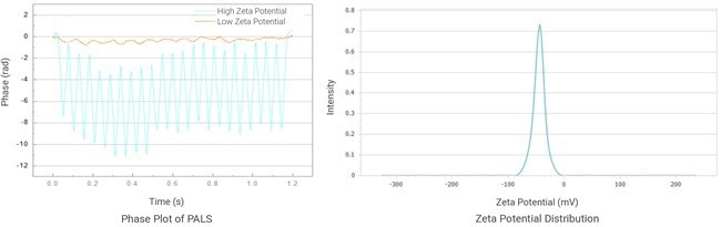BeNano 180 Zeta Pro - Particle Size Analysis