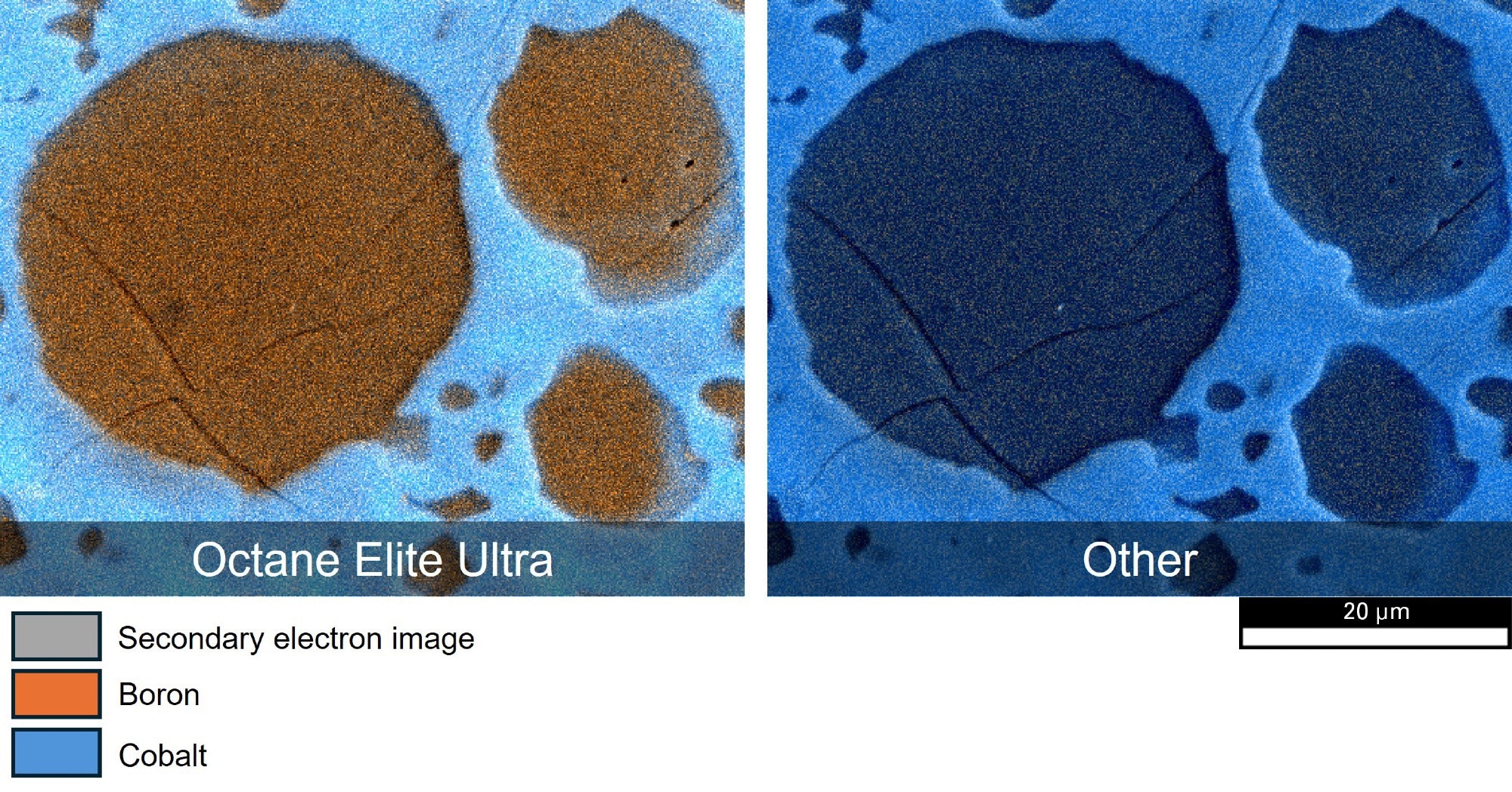 Composite images of boron and cobalt elemental maps overlayed on the secondary electron image of a boron steel sample. a) Captured with the Octane Elite Ultra and b) another EDS detector; the superior sensitivity of the Octane Elite Ultra to light elements enables boron distribution to be mapped and determined quantitatively.