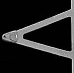 Applied Nanostructures Silicon Nitride Probes