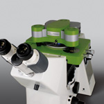 Studying Molecular Interactions in Real-time with Force Spectroscopy