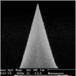 Conductive Diamond Coated AFM Tip from NANOSENSORS