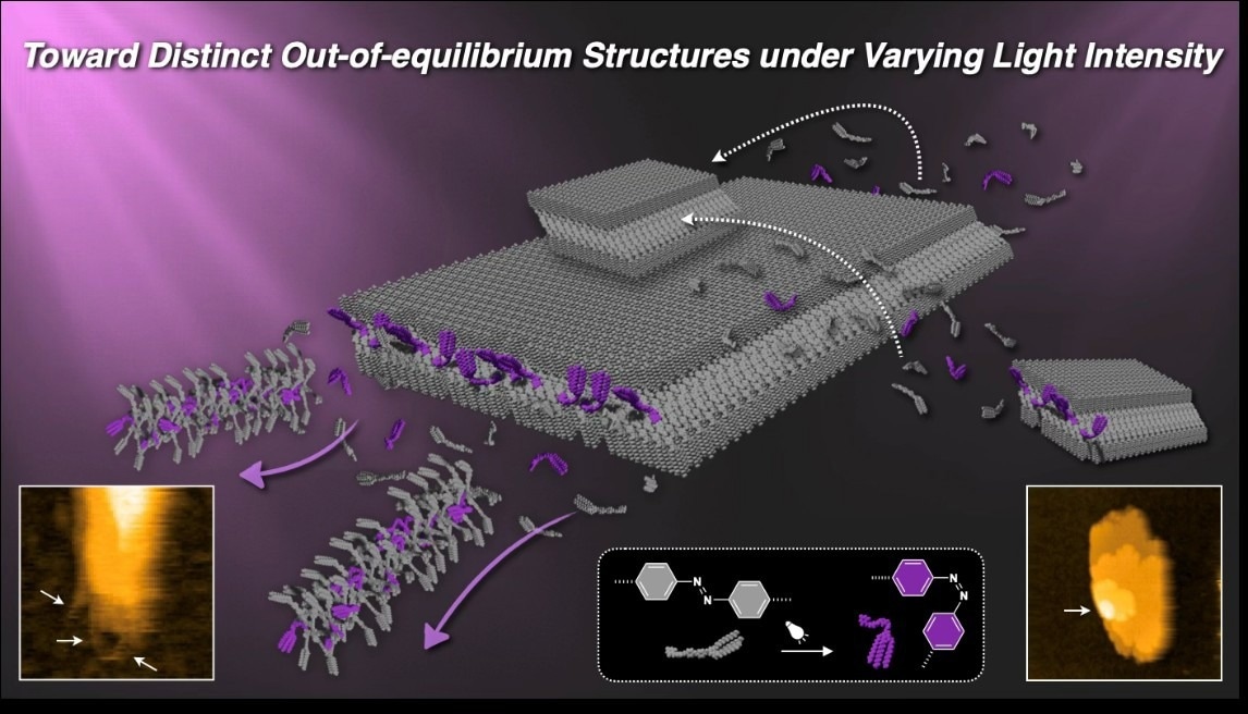 Light-Intensity-Dependent Transformation of Mesoscopic Molecular Assemblies