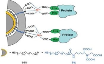 Tip Functionalization Approaches for Molecular Recognition Measurements