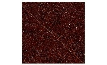 Characterization of Nanostructures Using The PeakForce TUNA Method