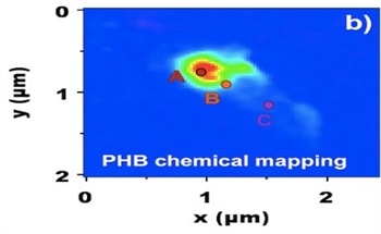 Infrared Sub-Cellular Imaging with an Atomic Force Microscope