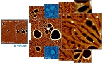 Use of a Higher-Bandwidth AFM for Survey, Screening and Dynamics