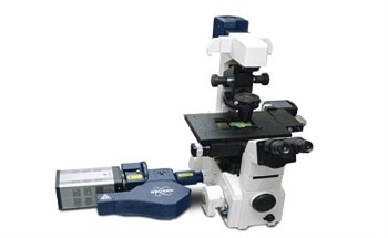 Expanding Life Science Capabilities with Optical Fluorescence