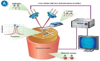 Quantitative Nanomechanical Measurement of Elastic and Viscoelastic Properties with FASTForce Volume CR