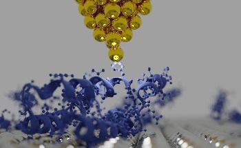 Conversations on AFM: Applications of BioAFM in Life Science