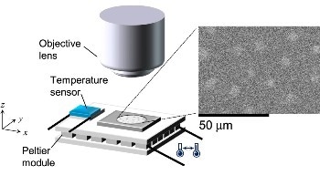 Magnetic Whirls Pave the Way for Energy-Efficient Computing