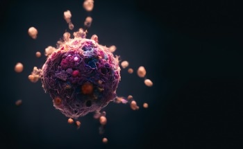 Rapid Biomimetic Nanovaccine for Personalized Cancer Therapy