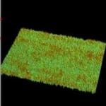 Metrology for Semiconductor Process Control from Bruker Nano