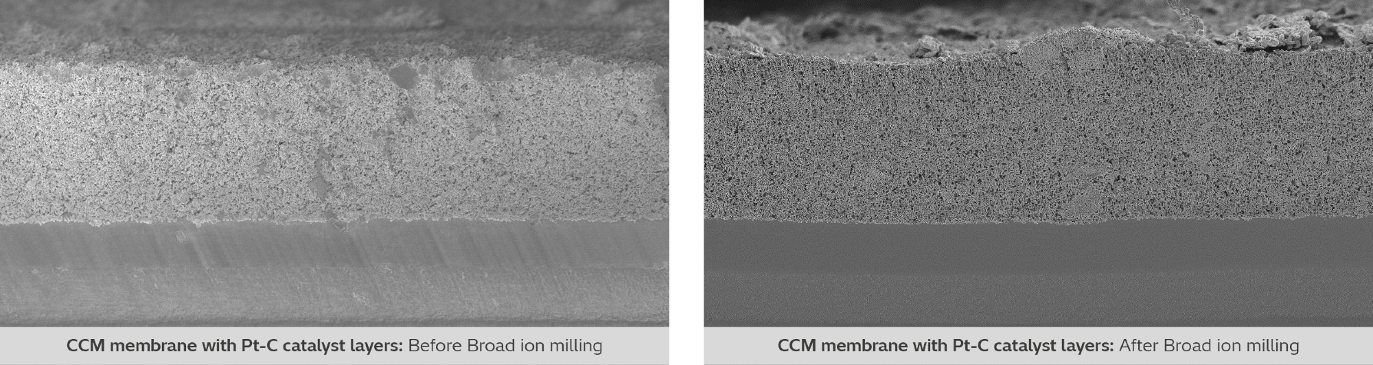 Study layer composition and adhesion quality.