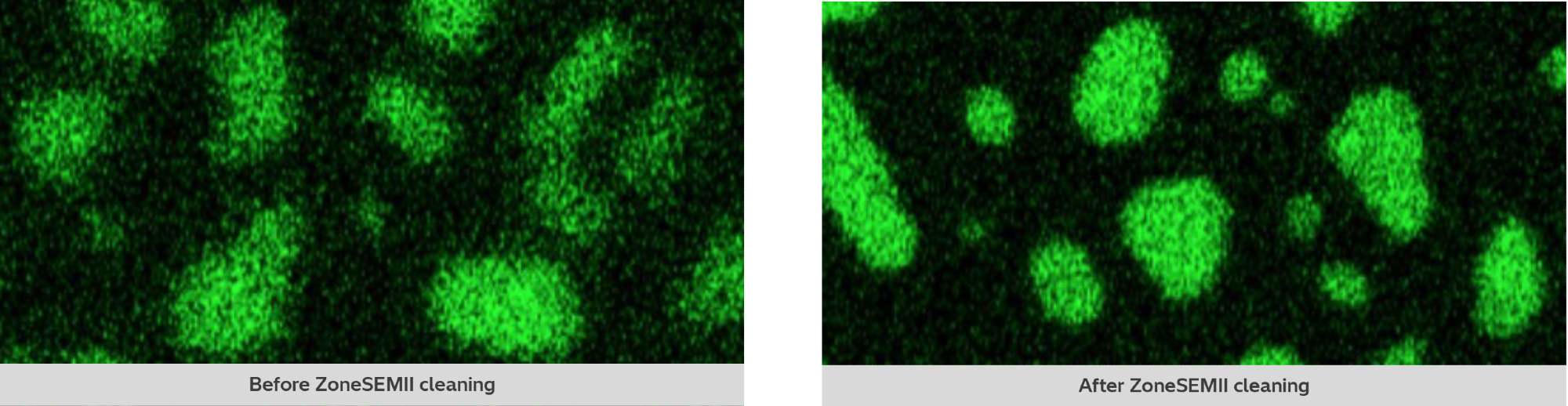 EDS mapping image of Au particles on carbon before and after ZoneSEM II cleaning.