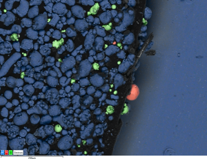 Revolutionary Design to Make Imaging Elementary With Unity