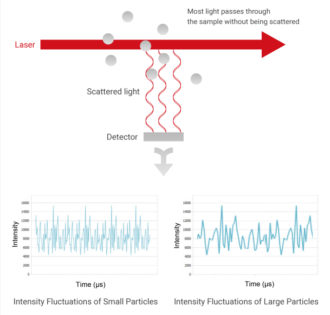 BeNano 180 Zeta Pro - Particle Size Analysis