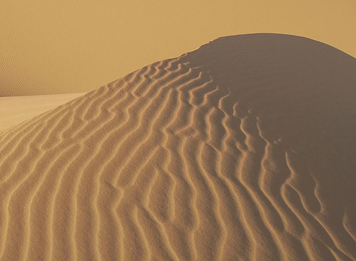 nanoPartica SZ-100V2 Nanoparticle Analyzer Series