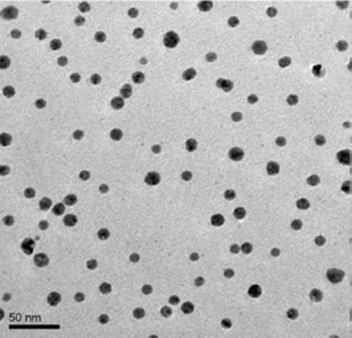 nanoPartica SZ-100V2 Nanoparticle Analyzer Series