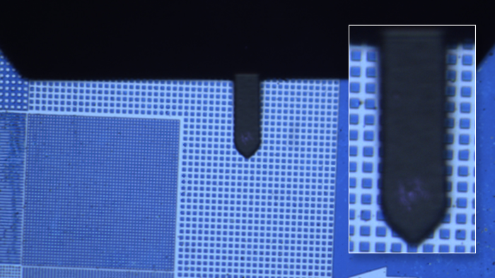 Advanced AFM for Small Samples with the Park FX200