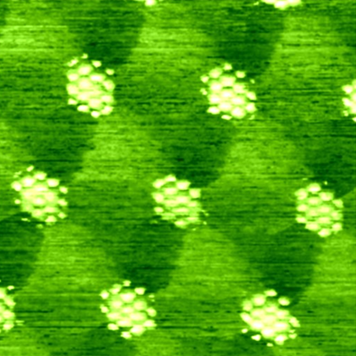 AFM Image Gallery. tBG/hBN