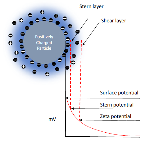 Potential Distribution at Particle Surface.