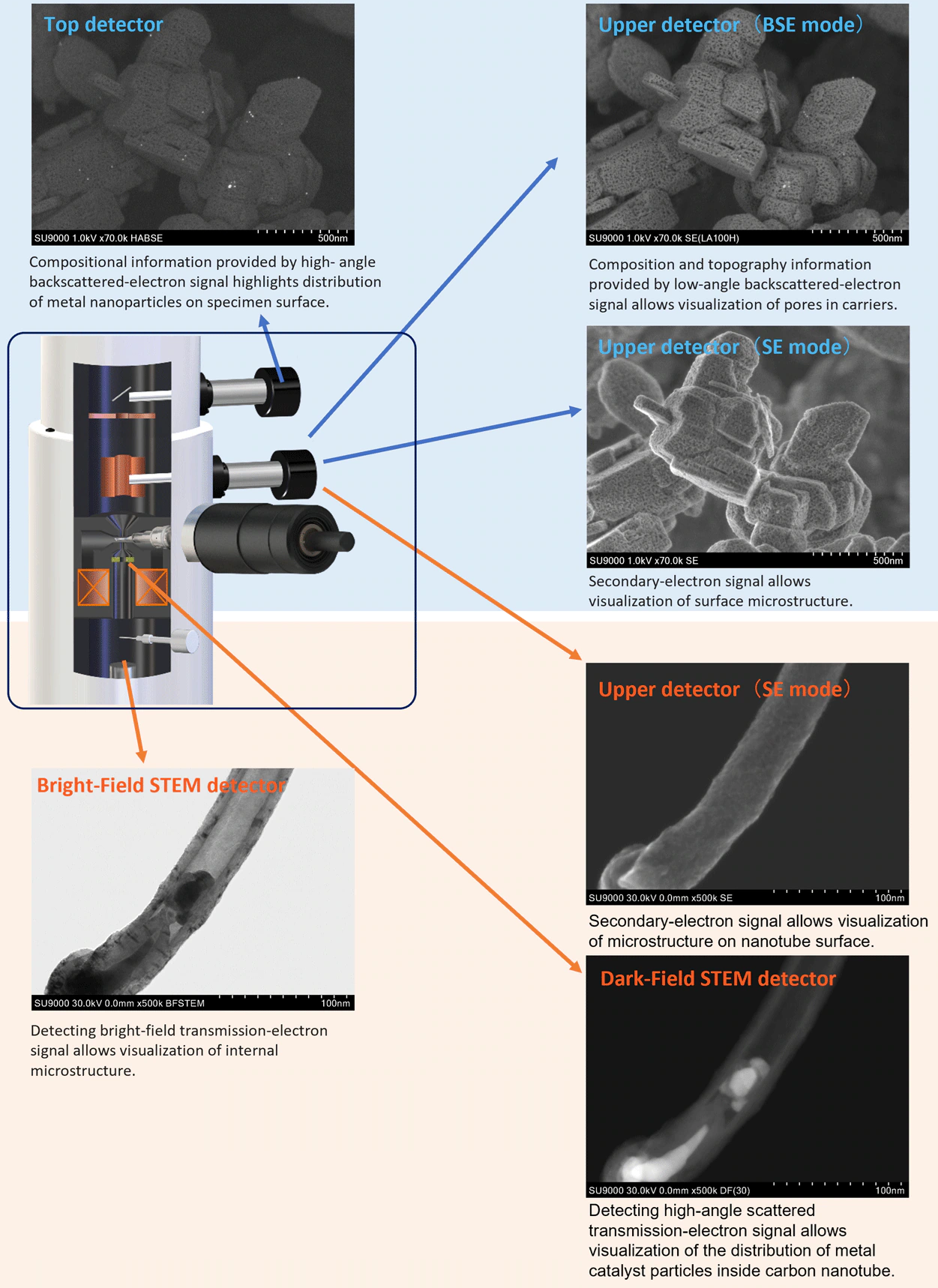 SU9000II: A Scanning Electron Microscope for High-Resolution Imaging