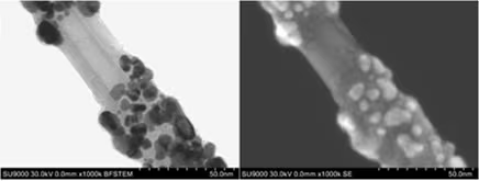 Left: The high-resolution 30-keV BF STEM image by itself makes it difficult to model its 3D structure. Right: Only in combination with the (simultaneously acquired) high-resolution SE image, the real structure of this sample becomes obvious and modeling this structure as a 3D model would be quite manageable.