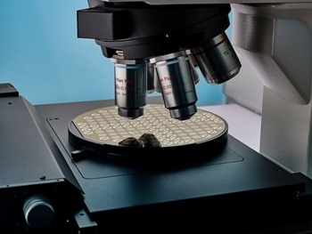 Graphene Field Effect Transistors (GFETs) for Sensor Research