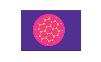 Graphene and Graphene Oxide (GO)
