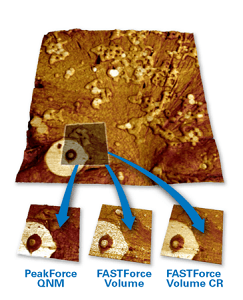 Bruker Introduces NanoMechanics Lab for Dimension AFMs