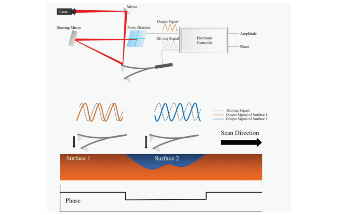 Polymer Thin Films: High Resolution Phase Imaging