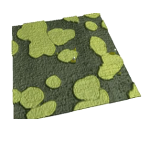 Time-Lapse AFM Images of DPPC/DOPC Lipid Bilayers