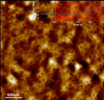 Dynamics of CM15 Antimicrobial Activity on Outer Membrane of E. coli Cells